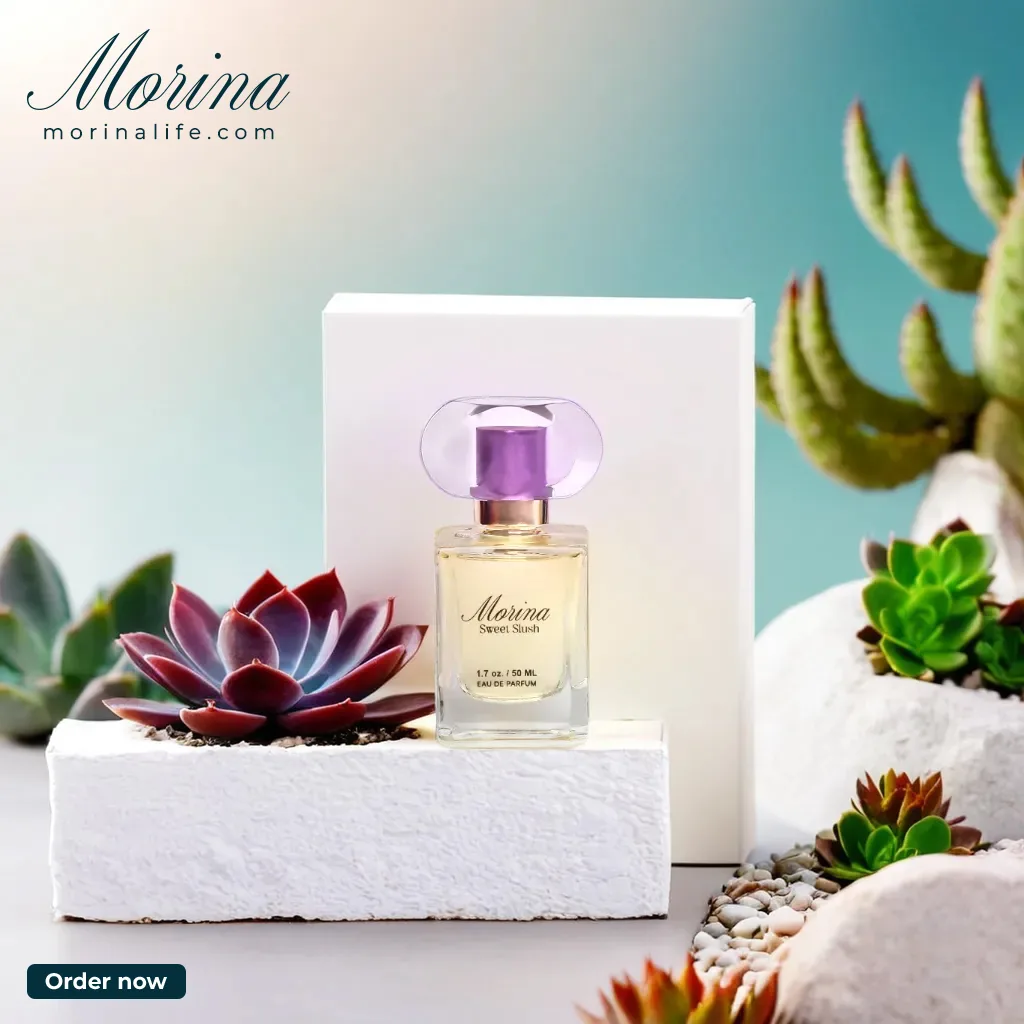 Perfume and its box among succulents