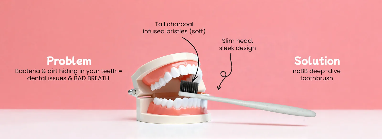 Toothbrush banners on pink